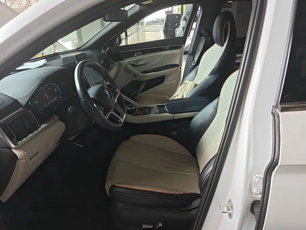 BYD Song PLUS New Energy 2022 — фото 20