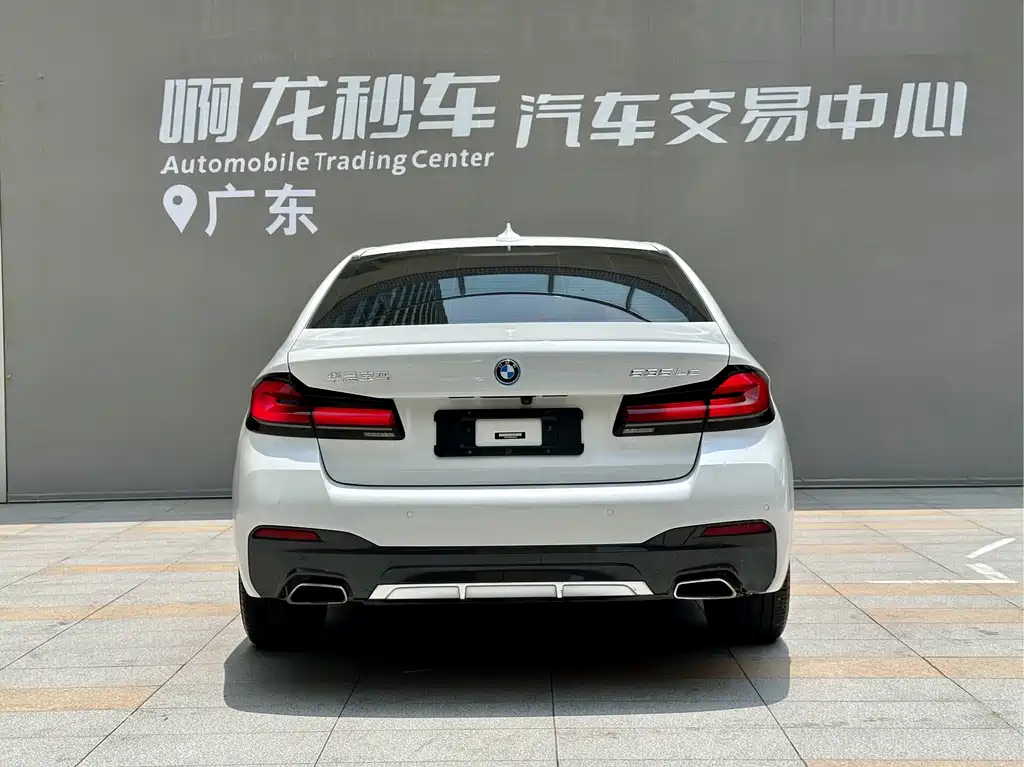 BMW 5 Series New Energy 2022
