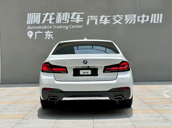 BMW 5 Series New Energy 2022