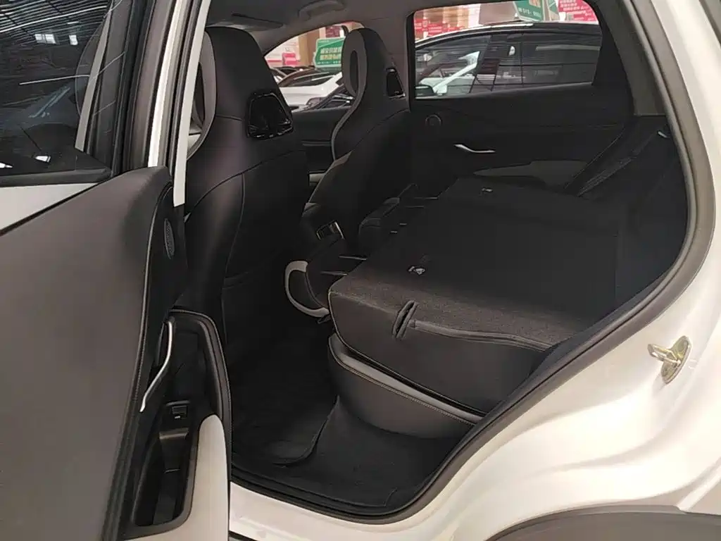BYD Sealion 05 DM-i 2025 — фото 17