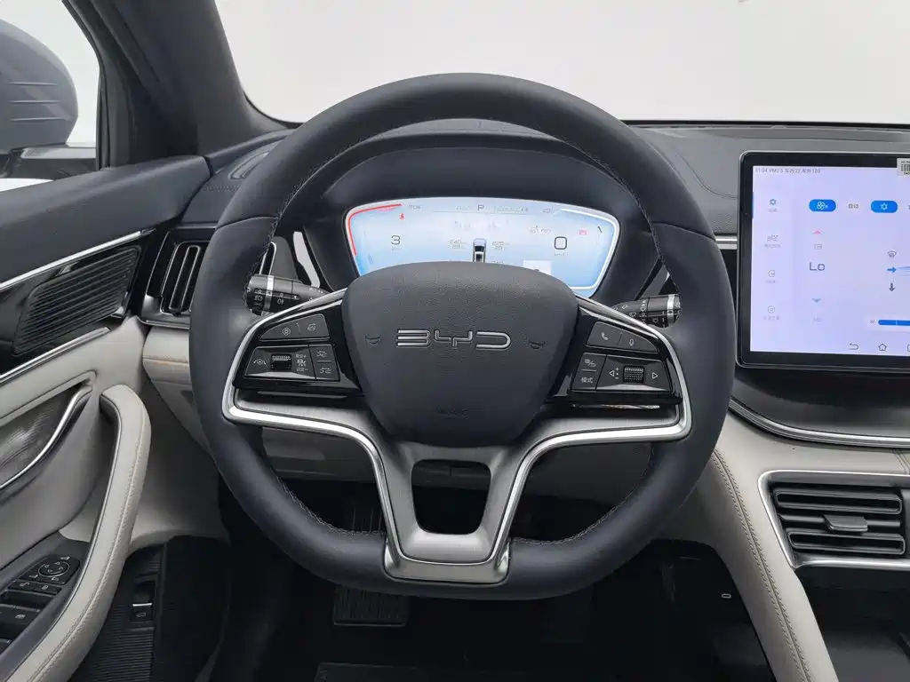 BYD Song PLUS New Energy 2024 — фото 11