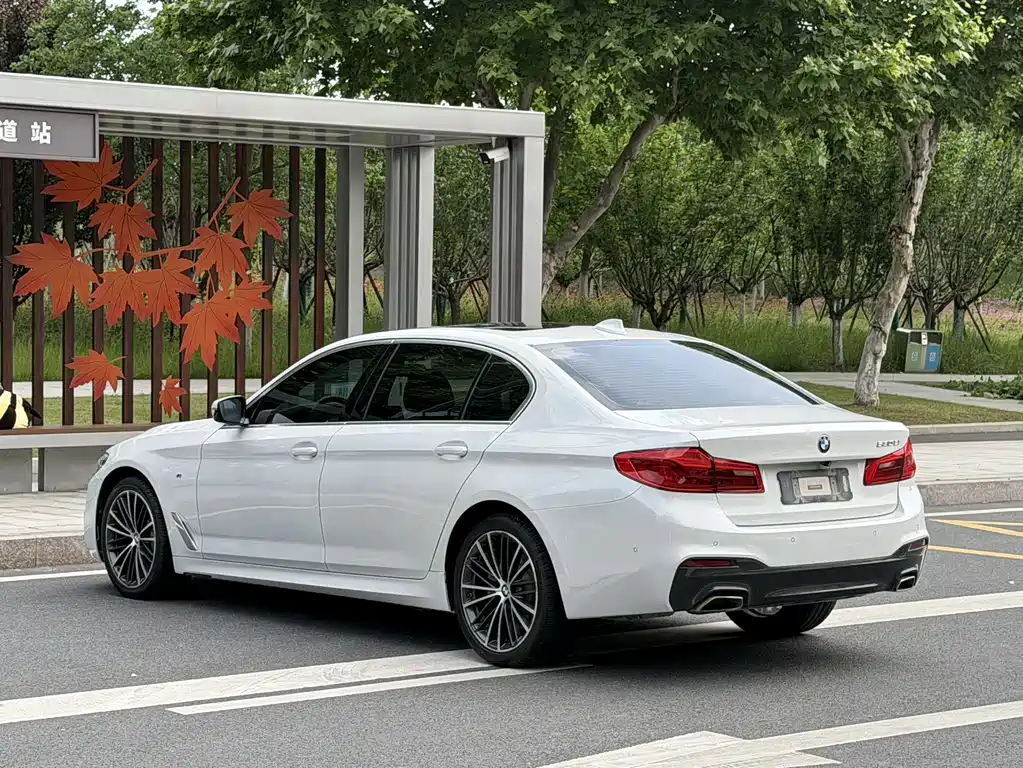 BMW 5 Series 2020 — фото 9