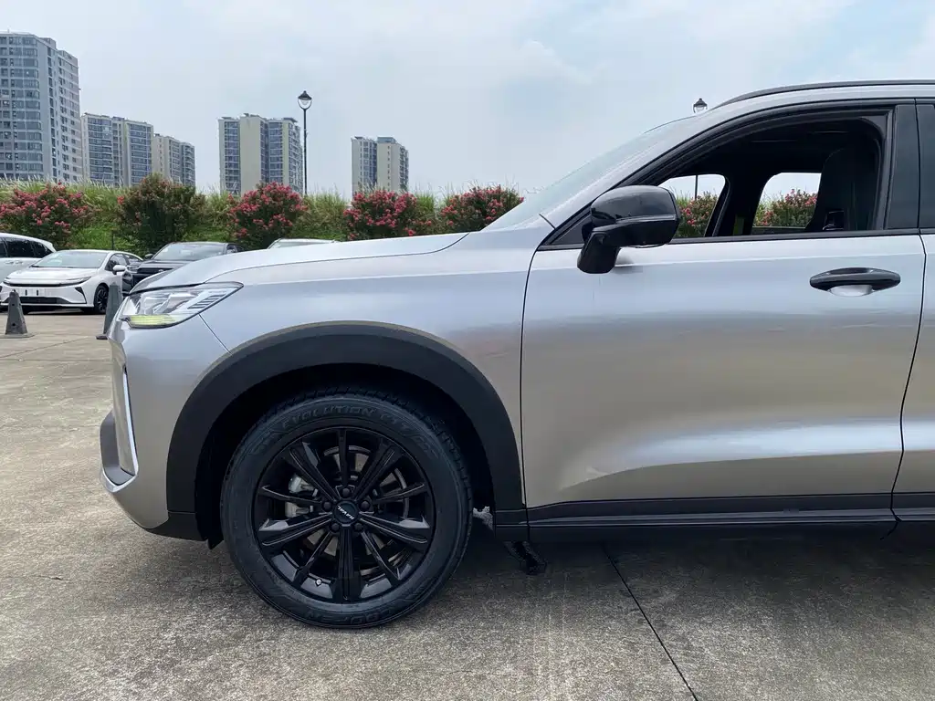Haval H6S 2021 — фото 19