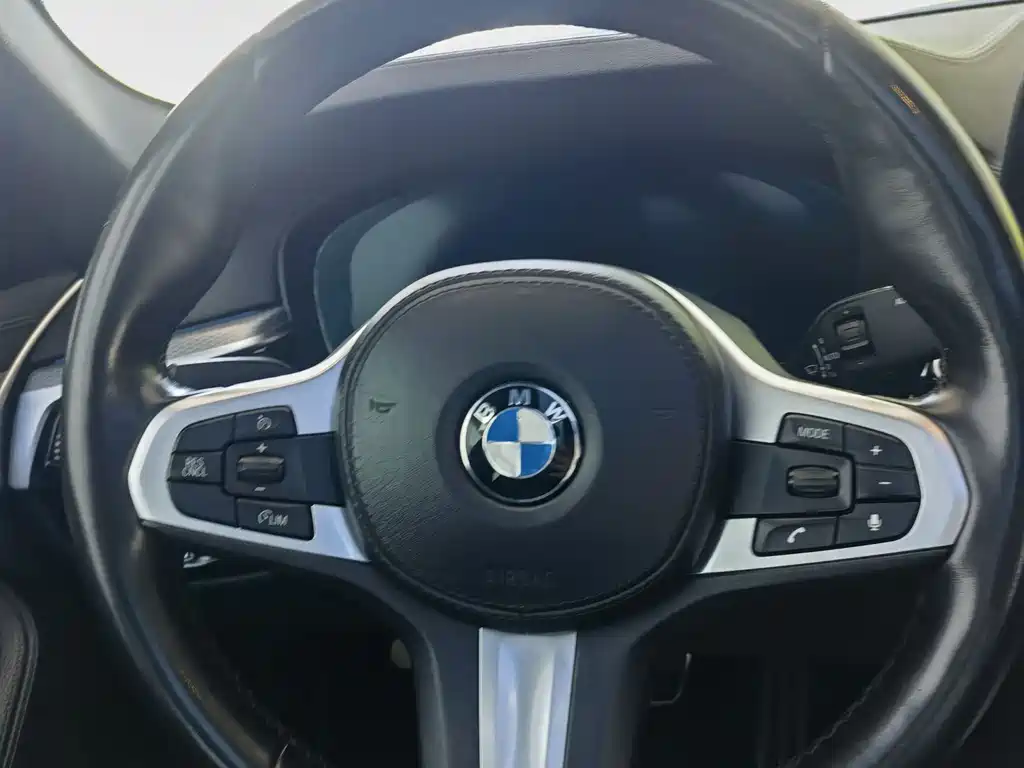 BMW 5 Series 2019 — фото 13