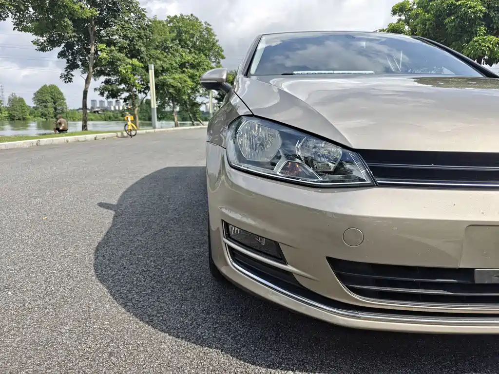 Volkswagen Golf 2015 — фото 19