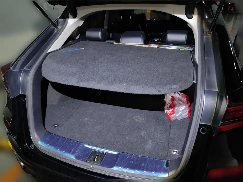Honda Avancier 2021 — фото 10