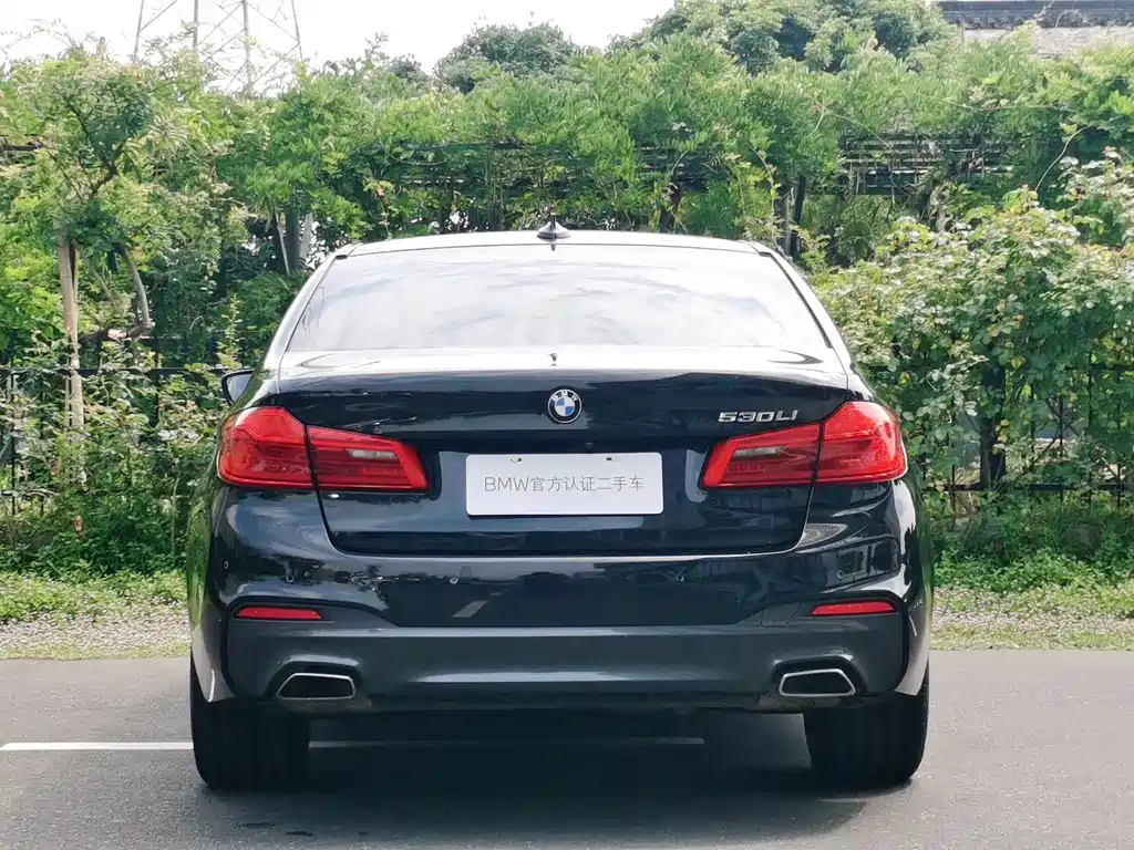 BMW 5 Series 2020
