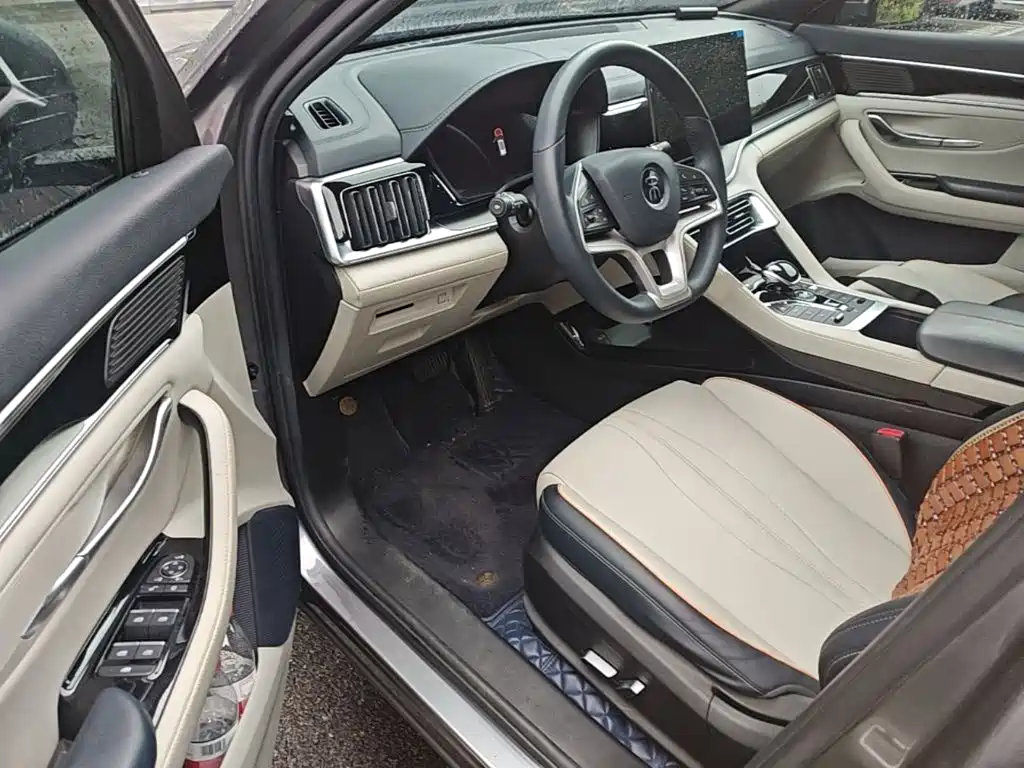 BYD Song PLUS New Energy 2021 — фото 23