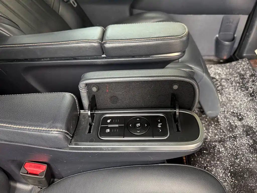 GAC Trumpchi M8 2020 — фото 9