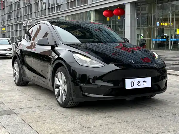 Tesla Model Y 2021