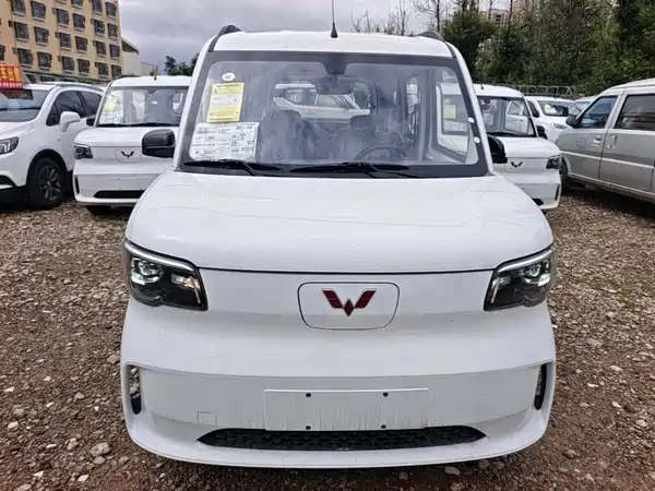 Wuling Zhiguang New Energy 2026