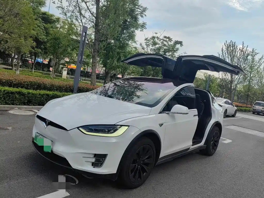 Tesla Model X 2018 — фото 2