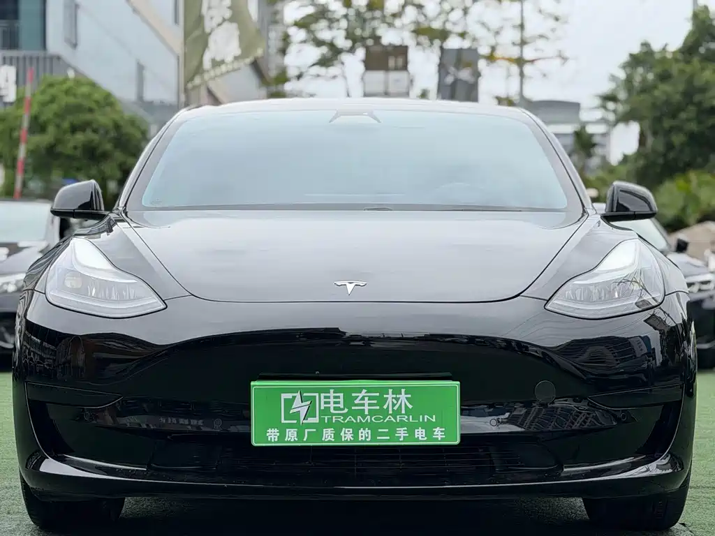 Tesla Model 3 2021 — фото 2