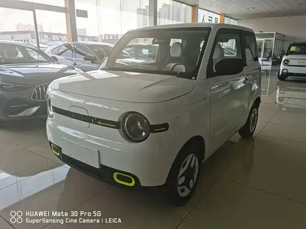 Geely Galaxy Panda 2026