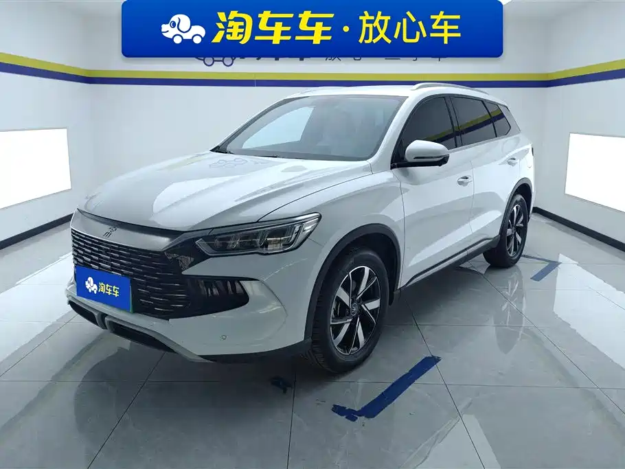BYD Pro New Energy 2024 — фото 1