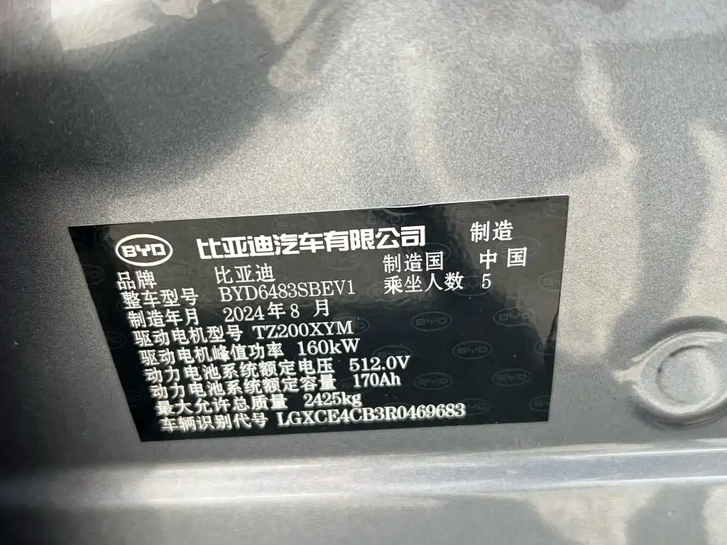 BYD Song PLUS New Energy 2024 — фото 5
