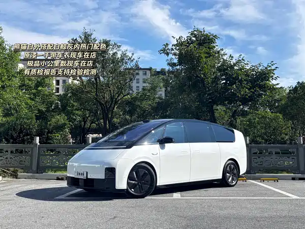 Li Auto MEGA 2025