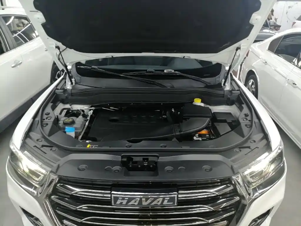 Haval H6 2021 — фото 20