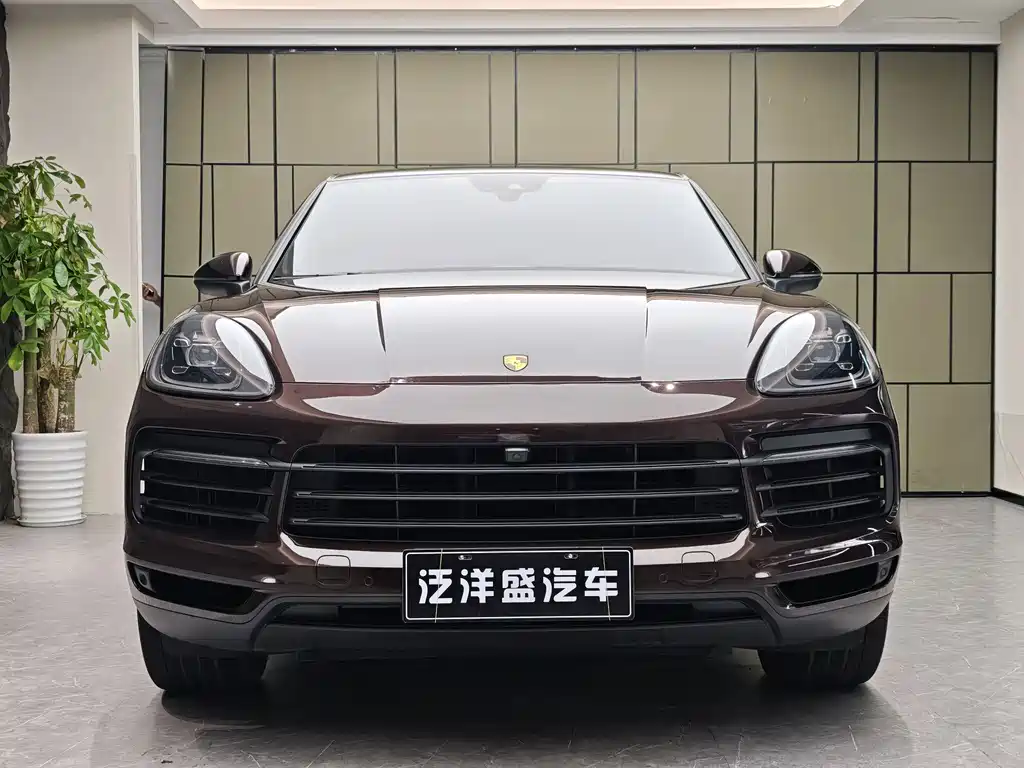 Porsche Cayenne 2019 — фото 2