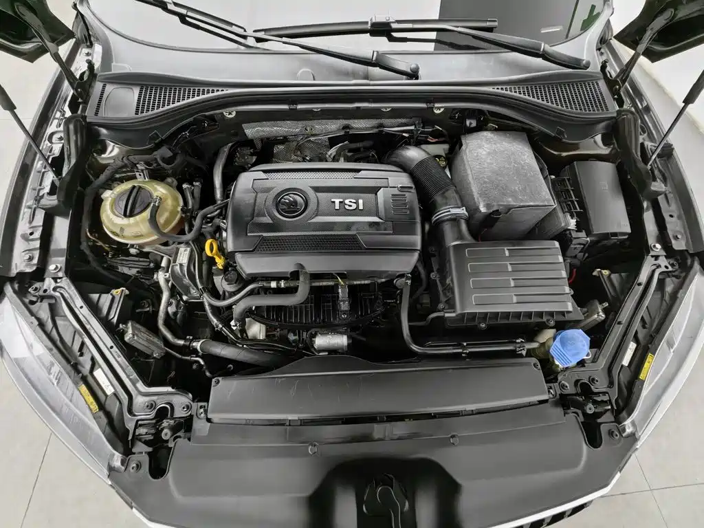 Skoda Speedy 2017