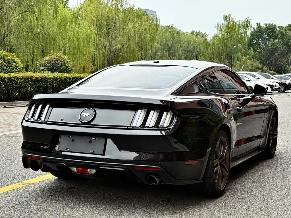 Ford Mustang 2017 — фото 14