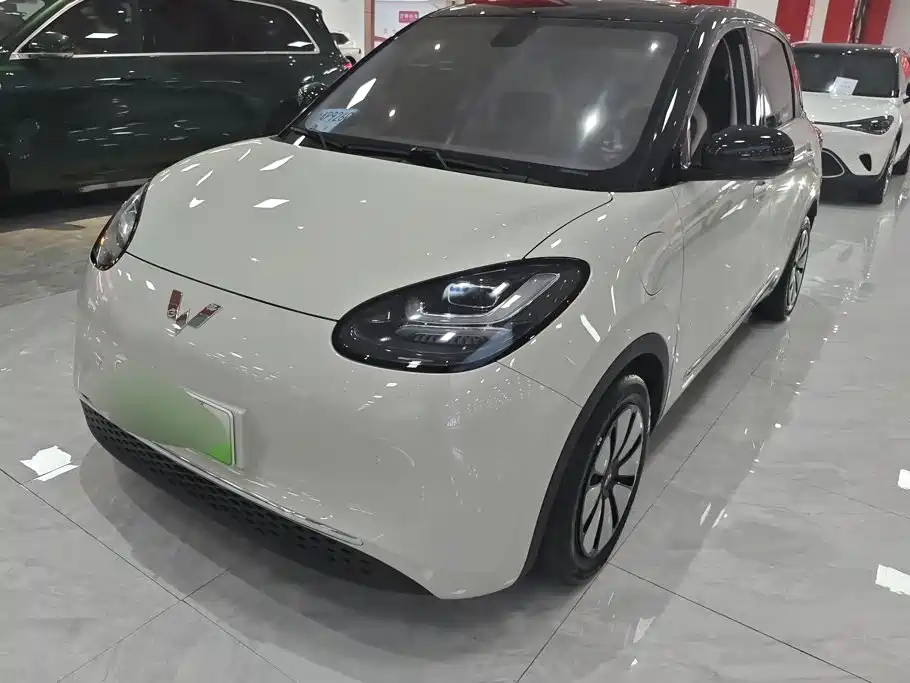 Wuling Bingo 2024