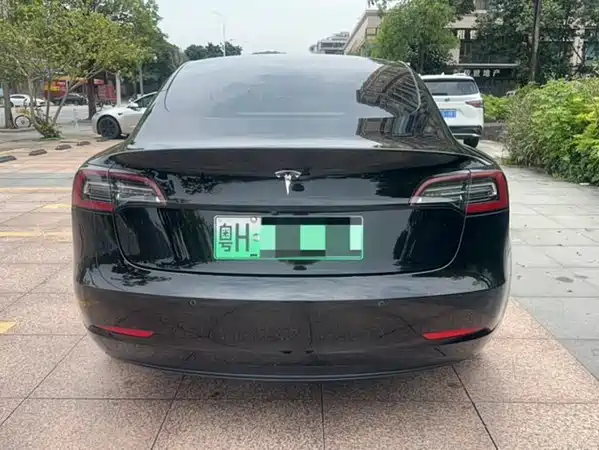 Tesla Model 3 2020