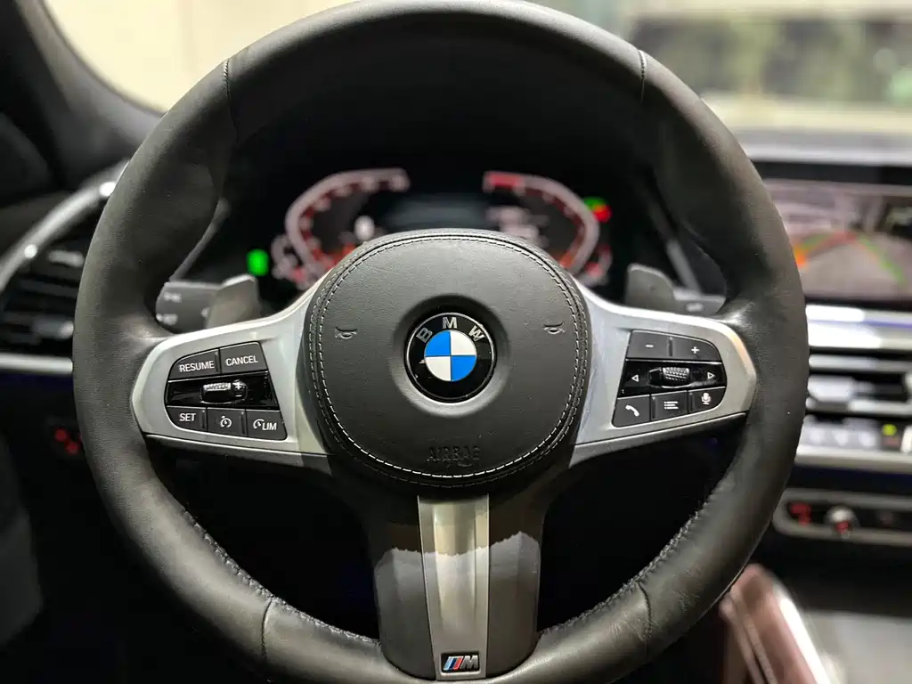 BMW X6 2020 — фото 6