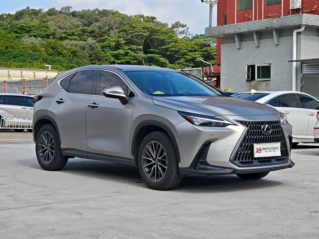 Lexus NX 2024 — фото 2