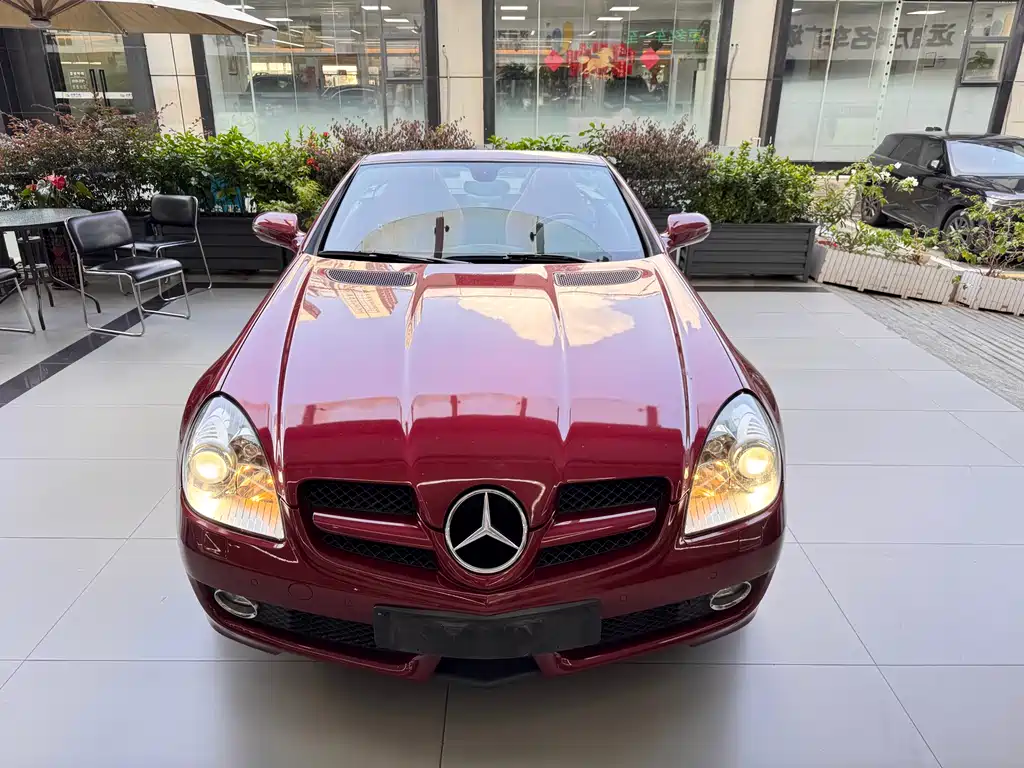 Mercedes-Benz SLK-Class 2010 — фото 2