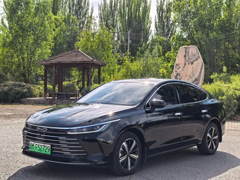 BYD Destroyer 05 2024 — фото 1