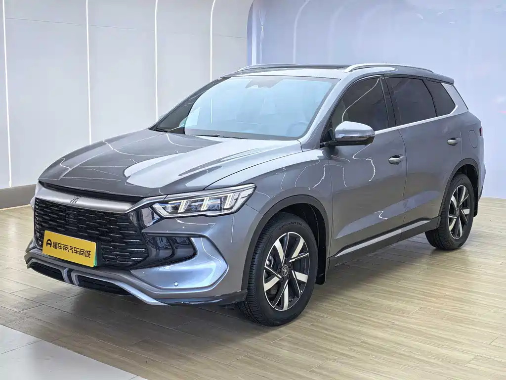 BYD Pro New Energy 2024 — фото 1