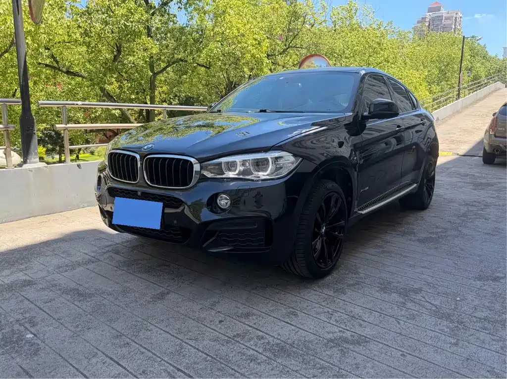 BMW X6 2019 — фото 1