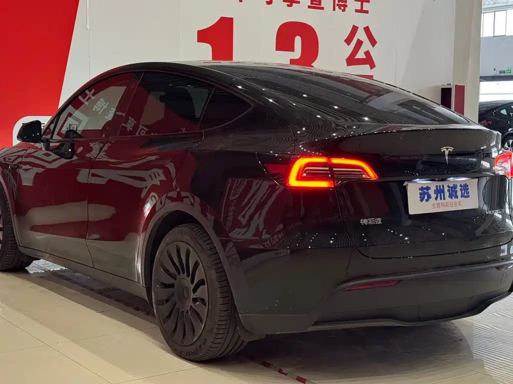 Tesla Model Y 2023 — фото 10