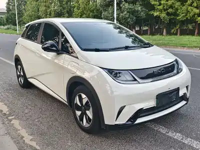 BYD Dolphin 2025