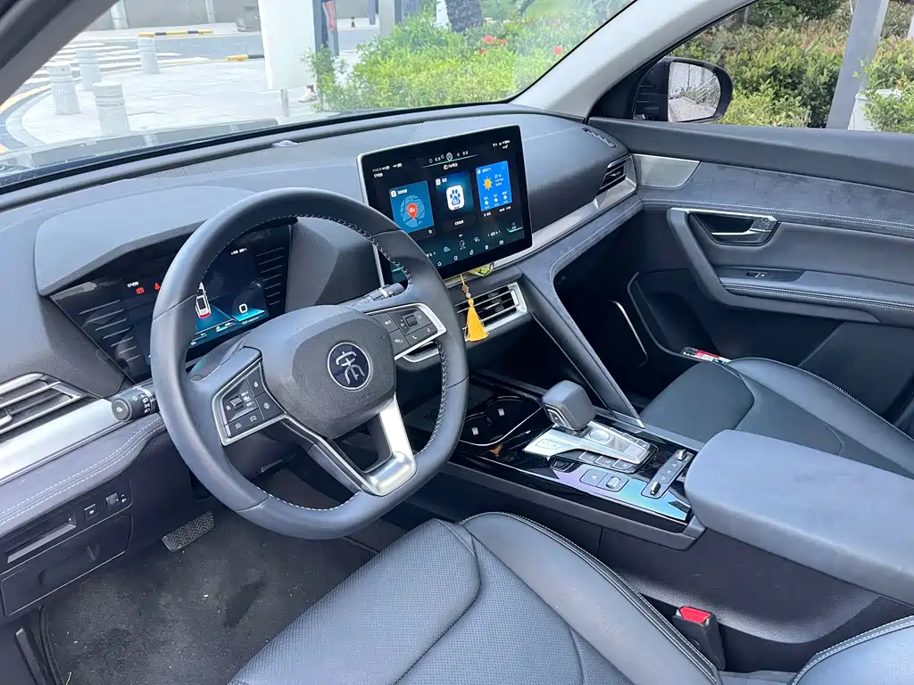 BYD Pro New Energy 2020 — фото 19