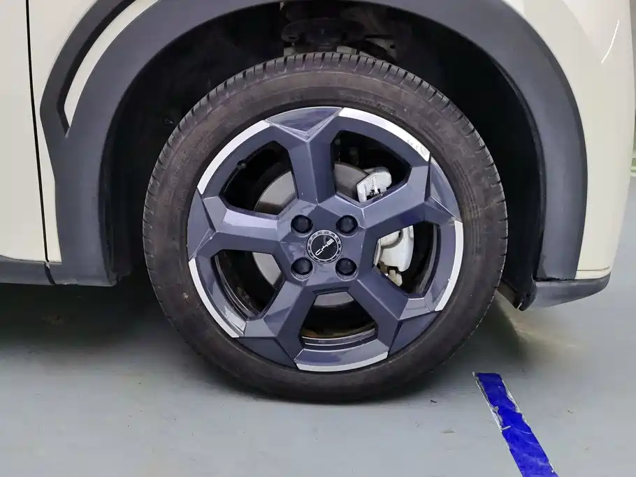 BYD Seagull 2024