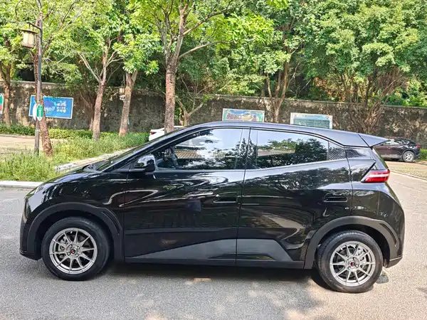BYD Seagull 2024