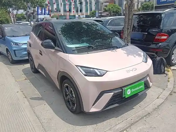 BYD Seagull 2024