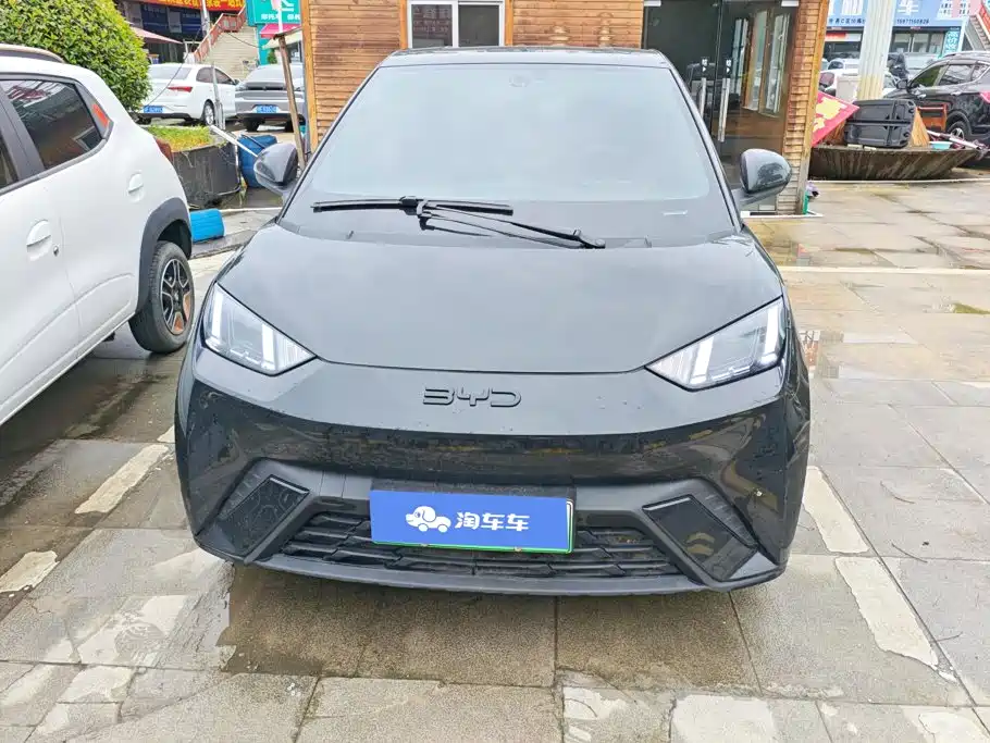 BYD Seagull 2024