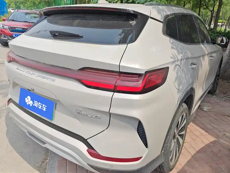 BYD PLUS New Energy 2024 — фото 3