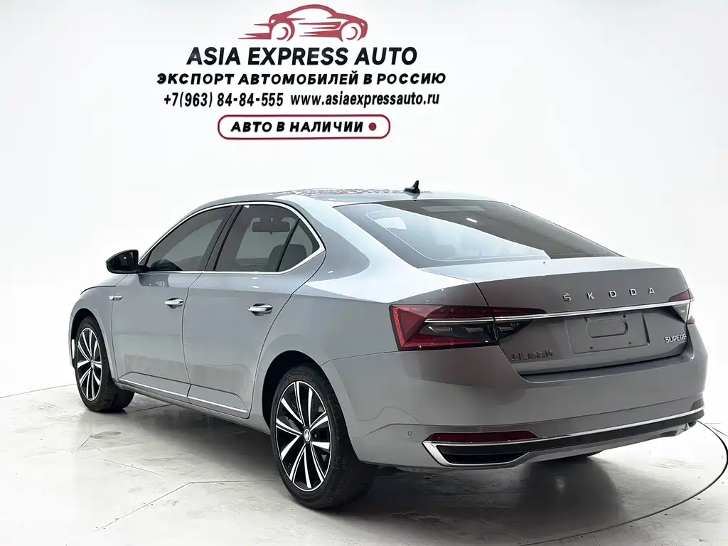 Skoda Speedy 2024