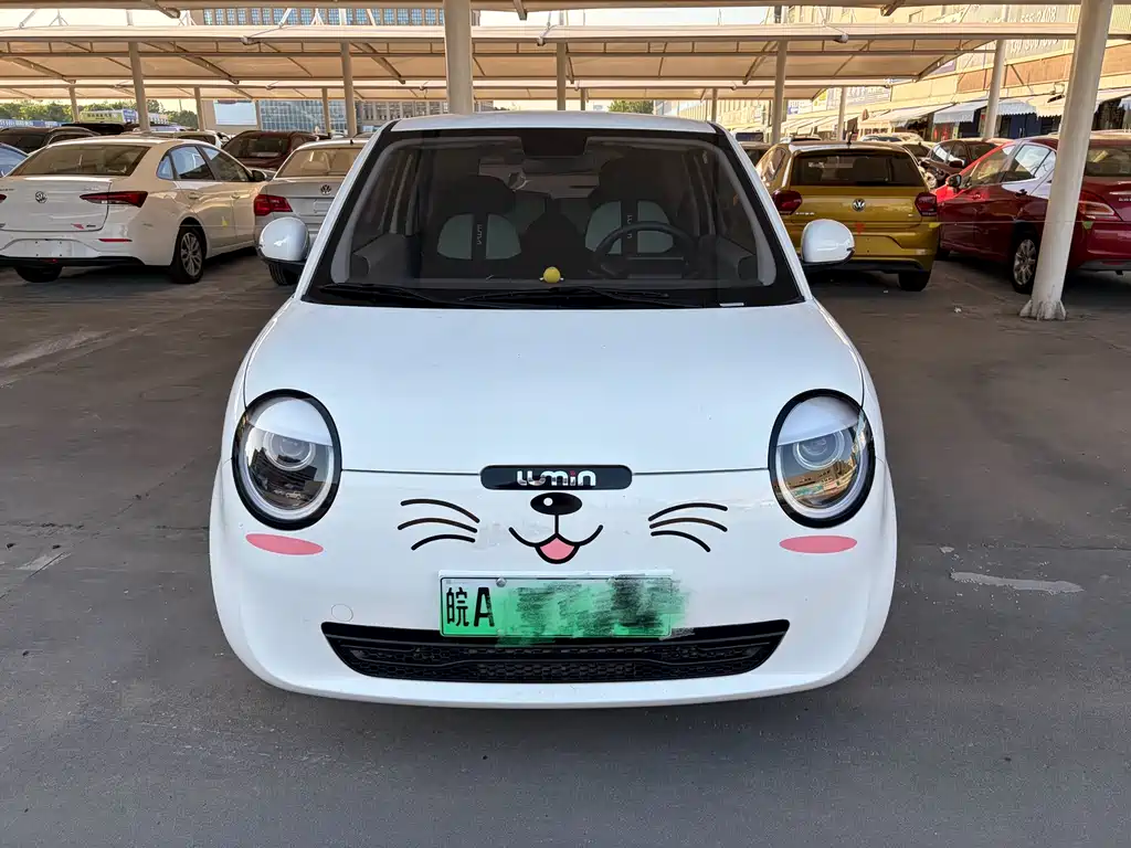Qiyuan Lumin 2025