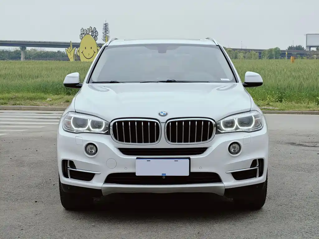 BMW X5 2017 — фото 2