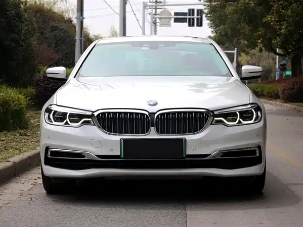 BMW 5 Series New Energy 2019