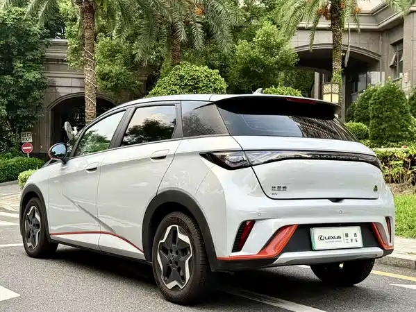 BYD Dolphin 2022