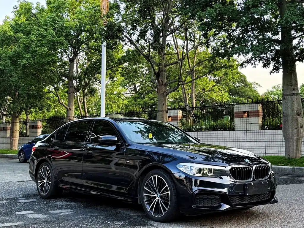 BMW 5 Series 2019