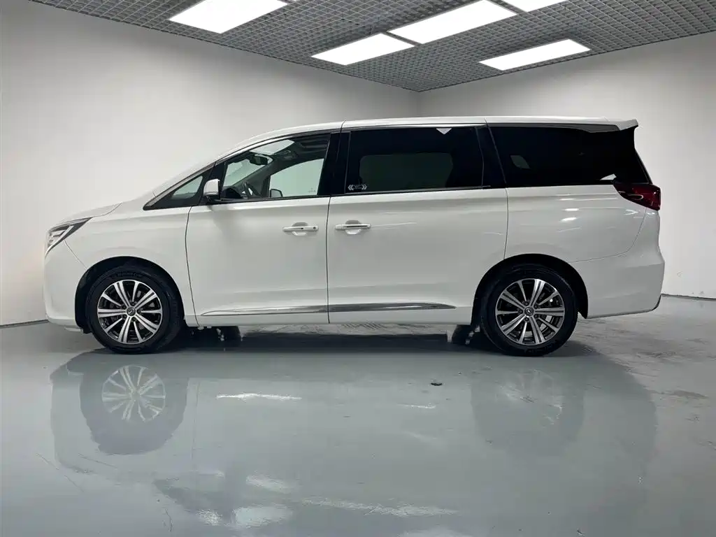 GAC Motor Trumpchi M8 2019 — фото 4