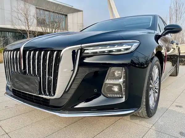Hongqi H5 2024