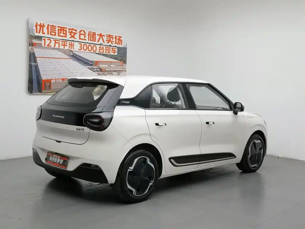 Dongfeng Nano 01 2024